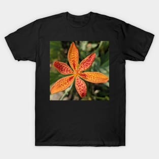 Spotted Orange Flower Photographic Image T-Shirt